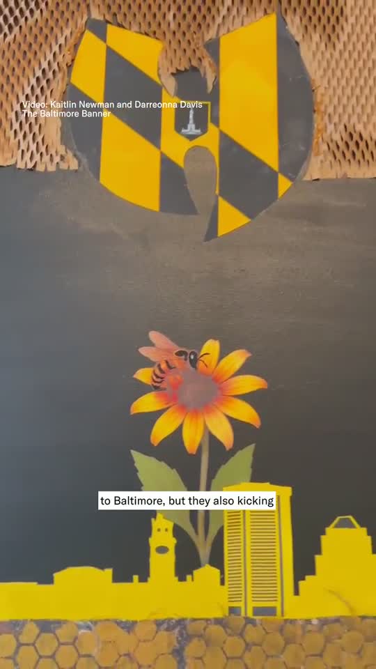 Baltimore Wu Bird flies again