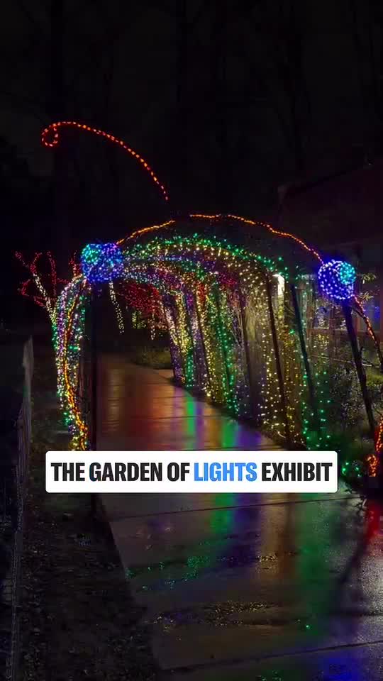 Bask in the Garden of Lights at Brookside Gardens!